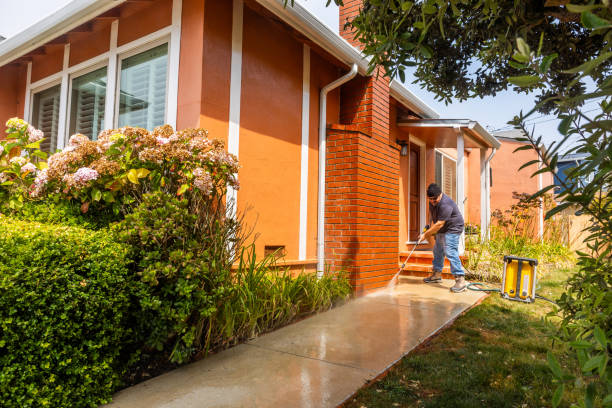 Best Pressure Washing Company Near Me  in Laurel Lake, NJ